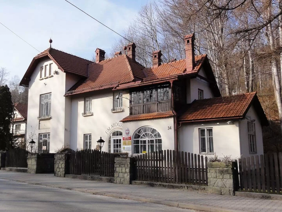 bb_falatowka_3-dtg-wikimedia.webp
