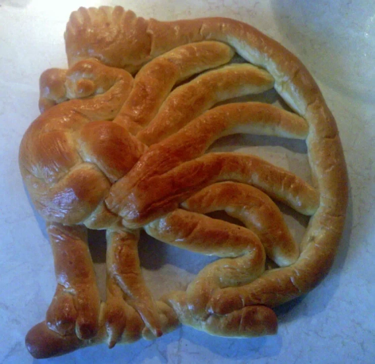 Kazimierski kogut
