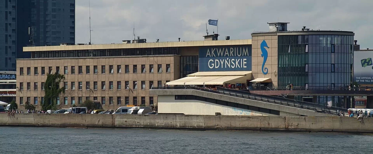 Akwarium Gdyńskie