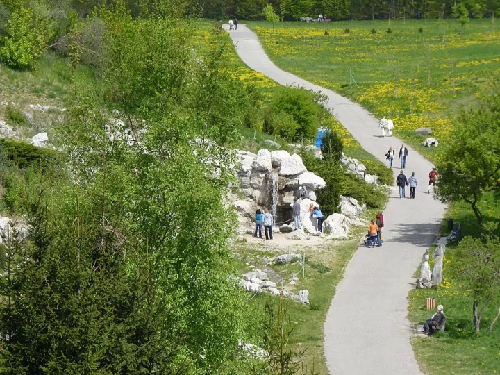 Ogród Botaniczny Myślęcinek koło Bydgoszczy