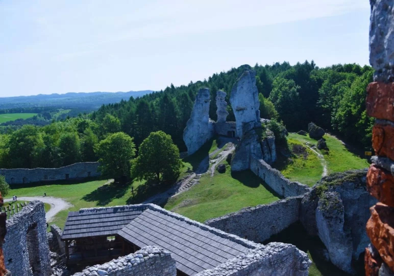 Zamek Ogrodziniec