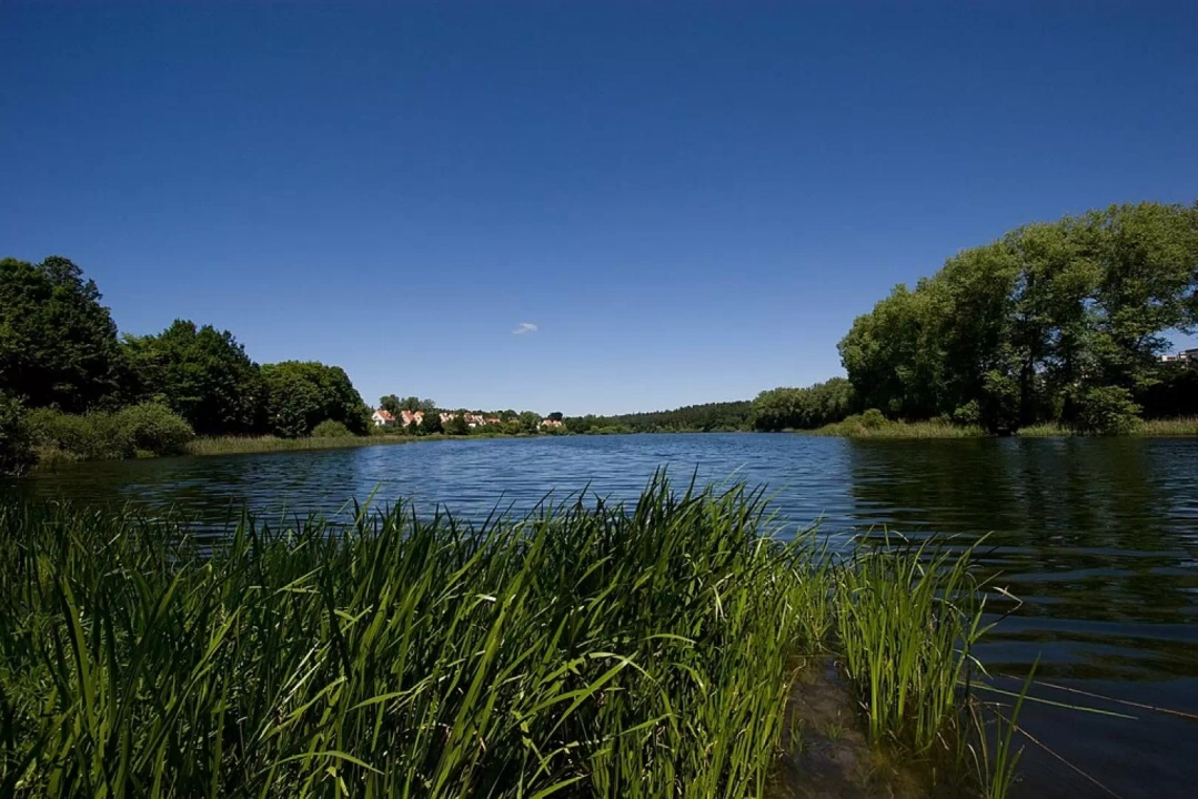 Jezioro Długie w okolicy Olsztyna mające plażę miejską i duży teren rekreacyjny. Otoczone bujną roślinnością wodną i drzewami.