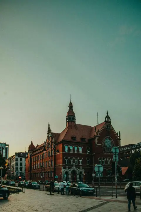 pexels-daniel-eliashevsky-6942366.webp