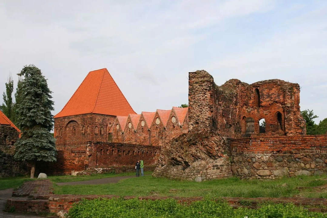 Ruiny Zamku Krzyżackiego w Toruniu otoczone zielenią.