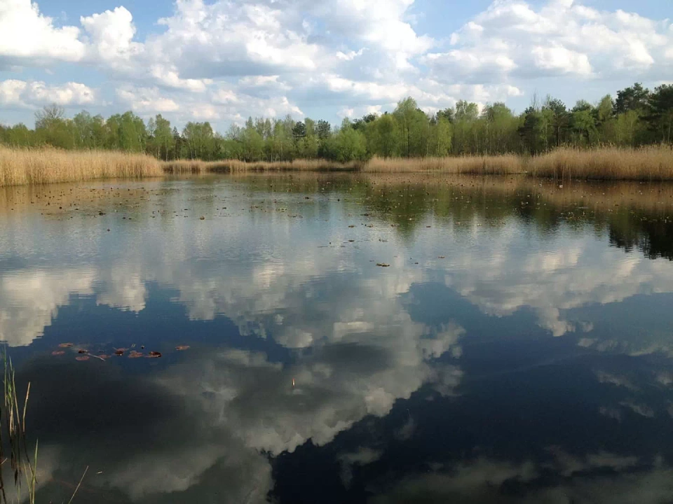 Jezioro oraz torfowisko w Mazowieckim Parku Krajobrazowym. Duży zbiornik wodny o płaskiej, spokojnej tafli, w której odbija się nieco zachmurzone niebo.